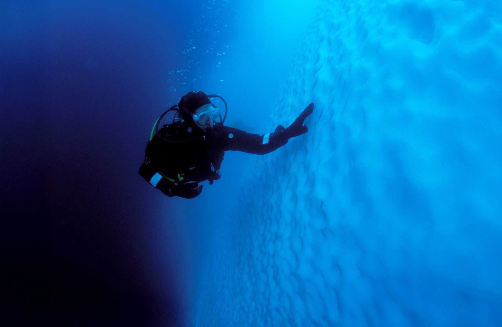 Polar Diving