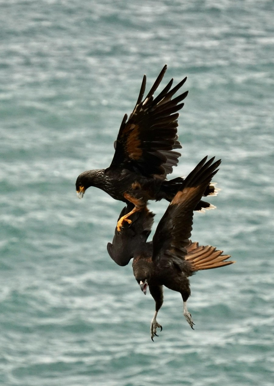 In mid air