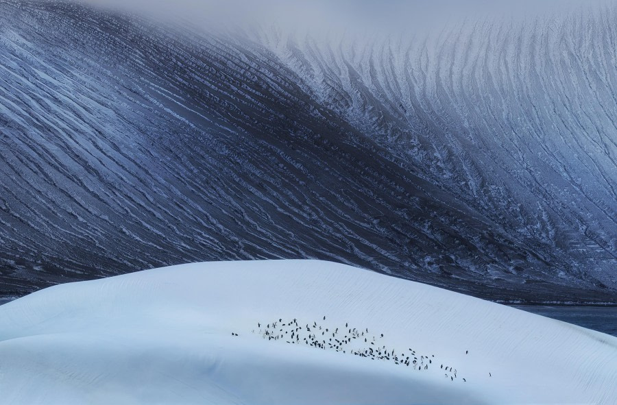 On the White Dune