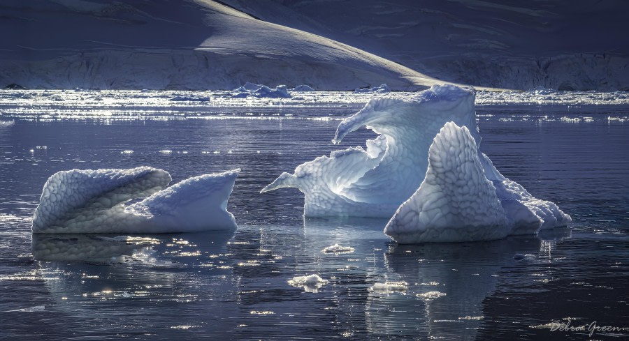 Ice Art