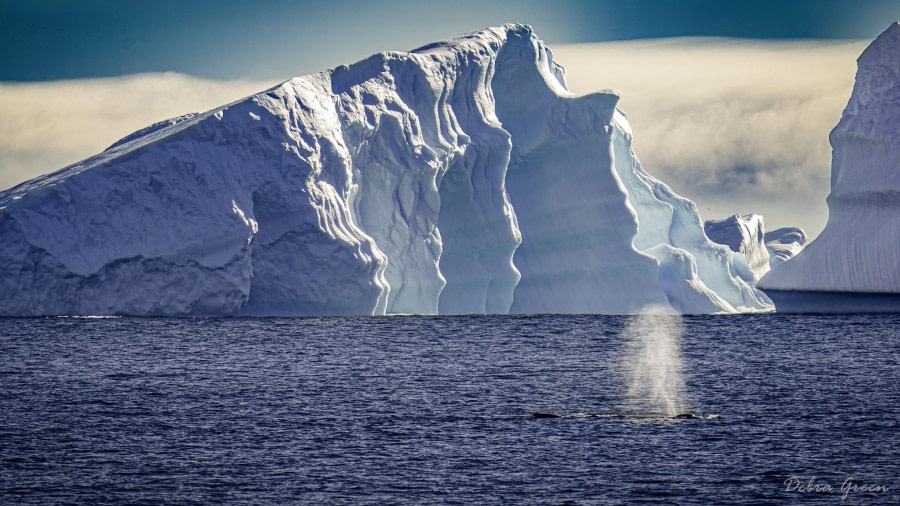 Magnificent Ice